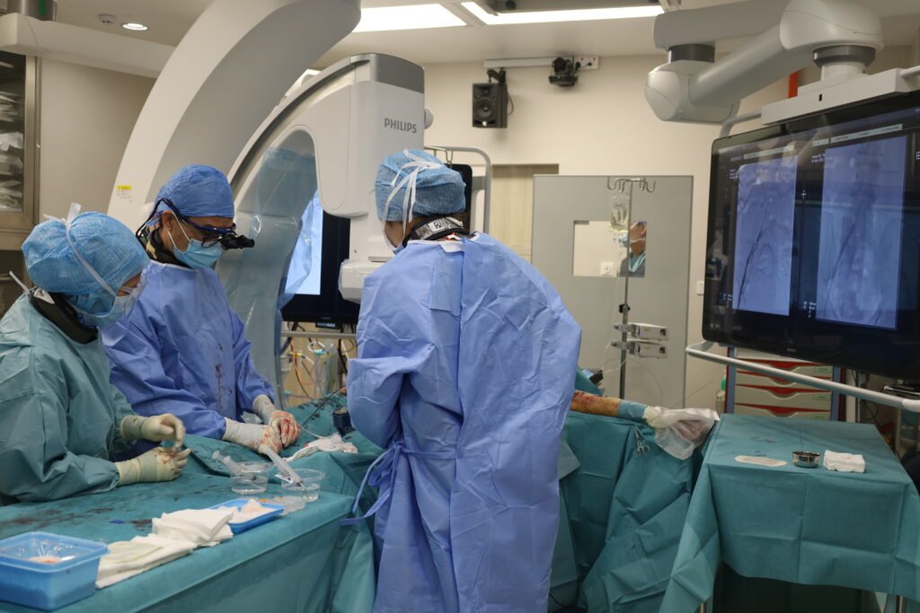 Future of Cardiac Care in Malaysia