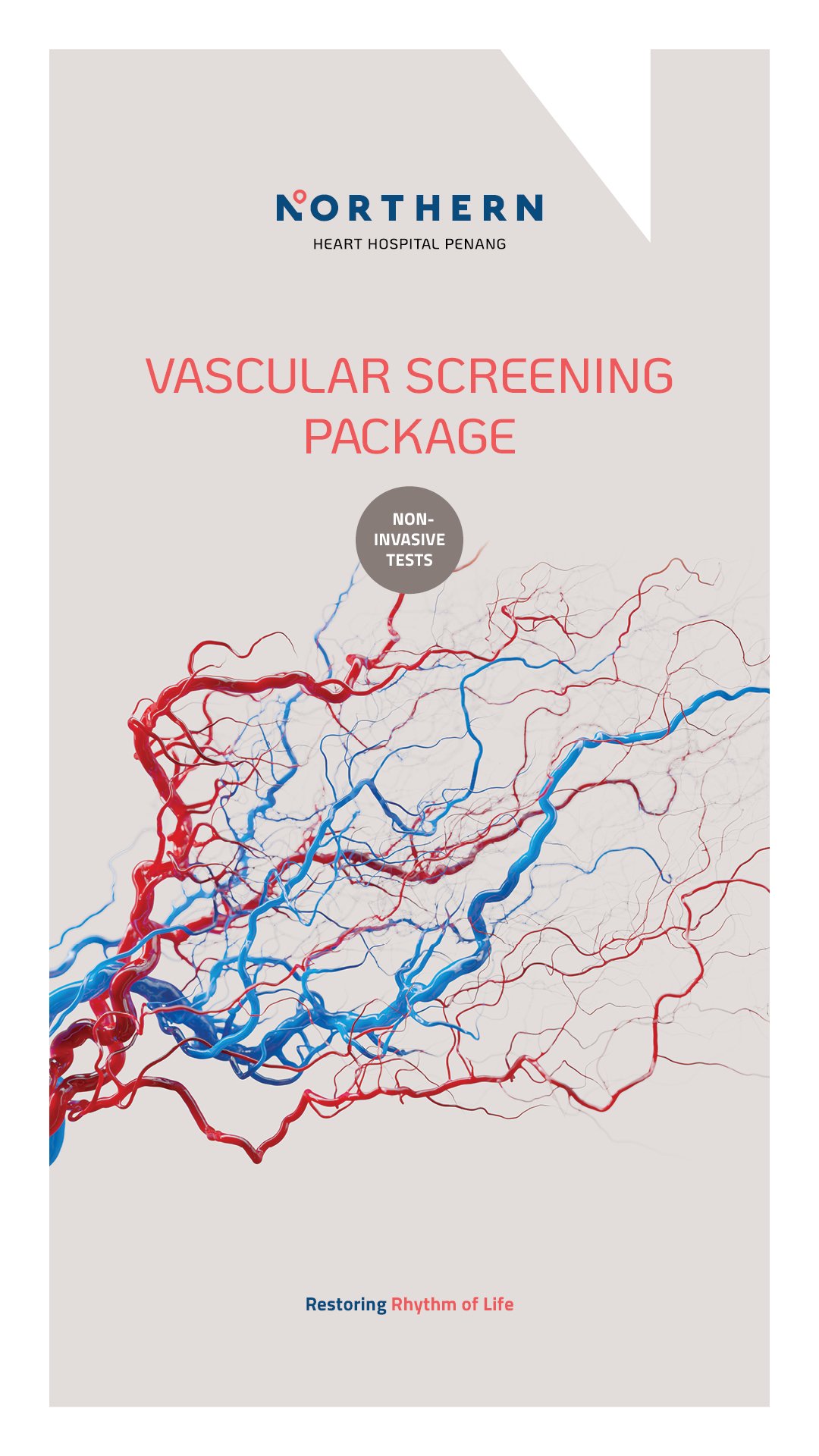 Vascular Screening Package