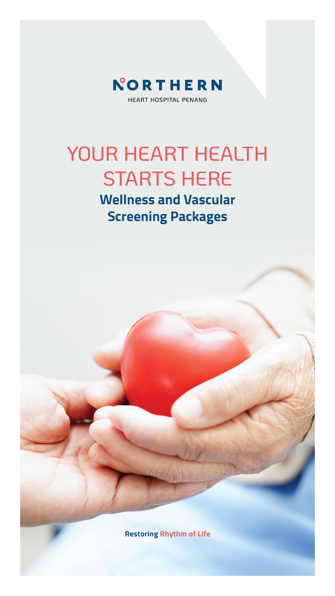 Wellness and Vascular Screening Packages